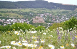 ხაშური