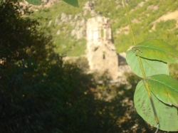 წელს, ღამისთევის ლოცვით შეხვდებიან წმინდა მამის გრიგოლ ხანძთელის ხსენებას და კიდევ ერთხელ შეავედრებენ მის წმინდა სულს ჩვენი ქვეყნის კეთილდღეობას 