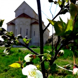 ყოველი დაბრკოლება და განსაცდელი უფრო მაქეზებს, უფრო ხელს მიწყობს ღვთის სამსახურსა და კეთილ საქმეში