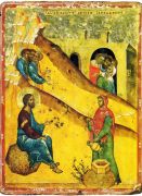 სამარიტელის კვირა