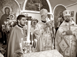 უწმინდესის სურვილია, თითოეული ემიგრანტი დაუბრუნდეს საქართველოს