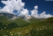 მეუფე ზენონი და 